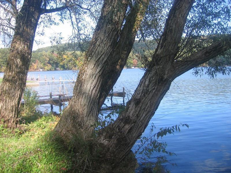 Red Carpet Inn On The Lake - Oneonta Eksteriør billede